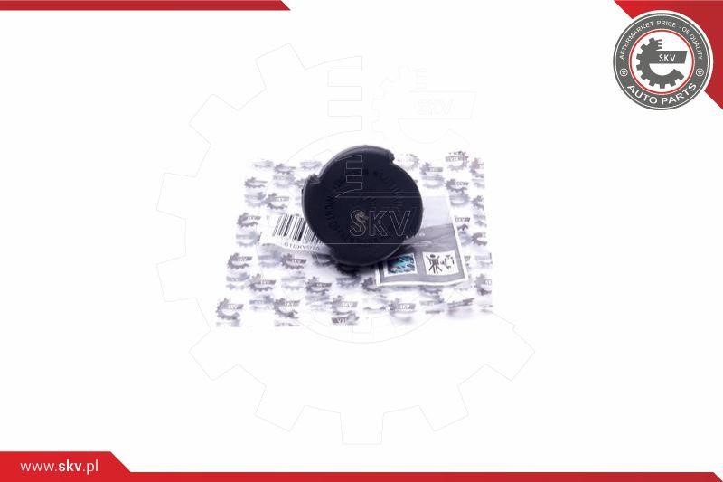 61SKV015 Esen SKV Cap, coolant tank