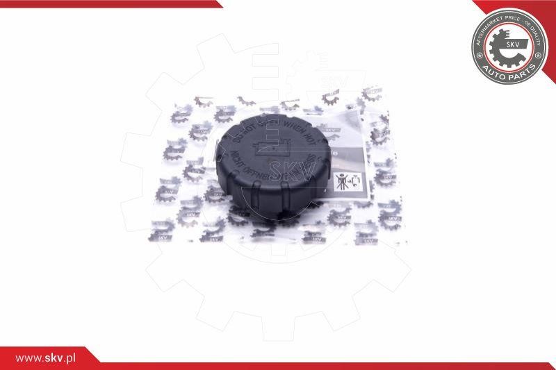 61SKV017 Esen SKV Cap, coolant tank