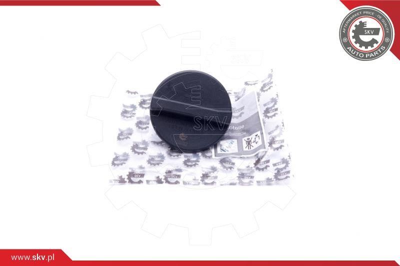 61SKV018 Esen SKV Cap, coolant tank