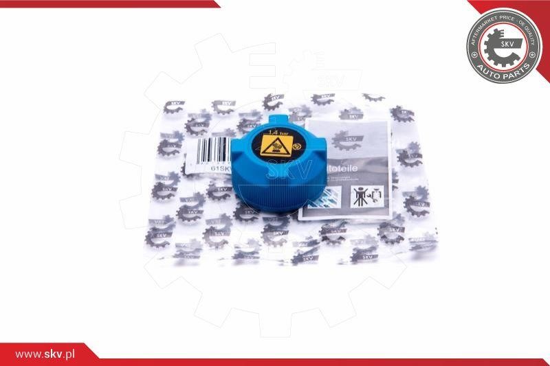Engine coolant cap Fiat: 61SKV028 Esen SKV Cap, coolant tank