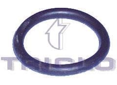 Triclo 441761 Termostat gasket 441761