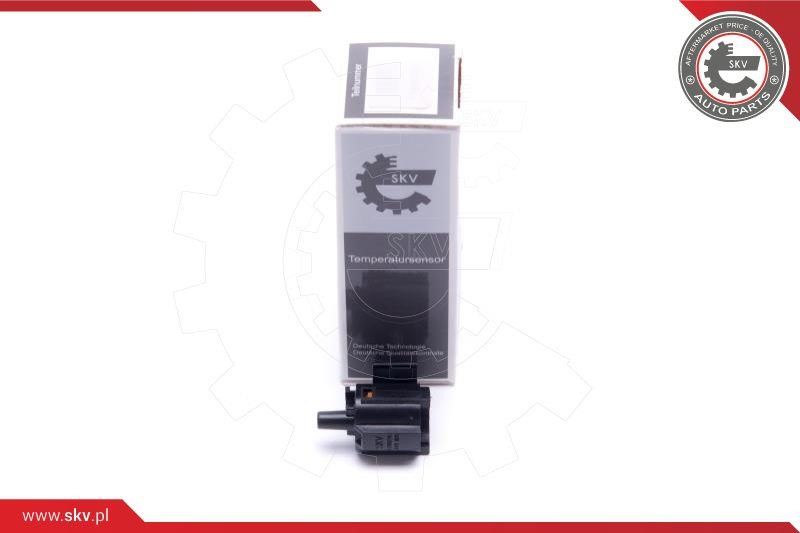 17SKV707 Esen SKV Sensor, exterior temperature