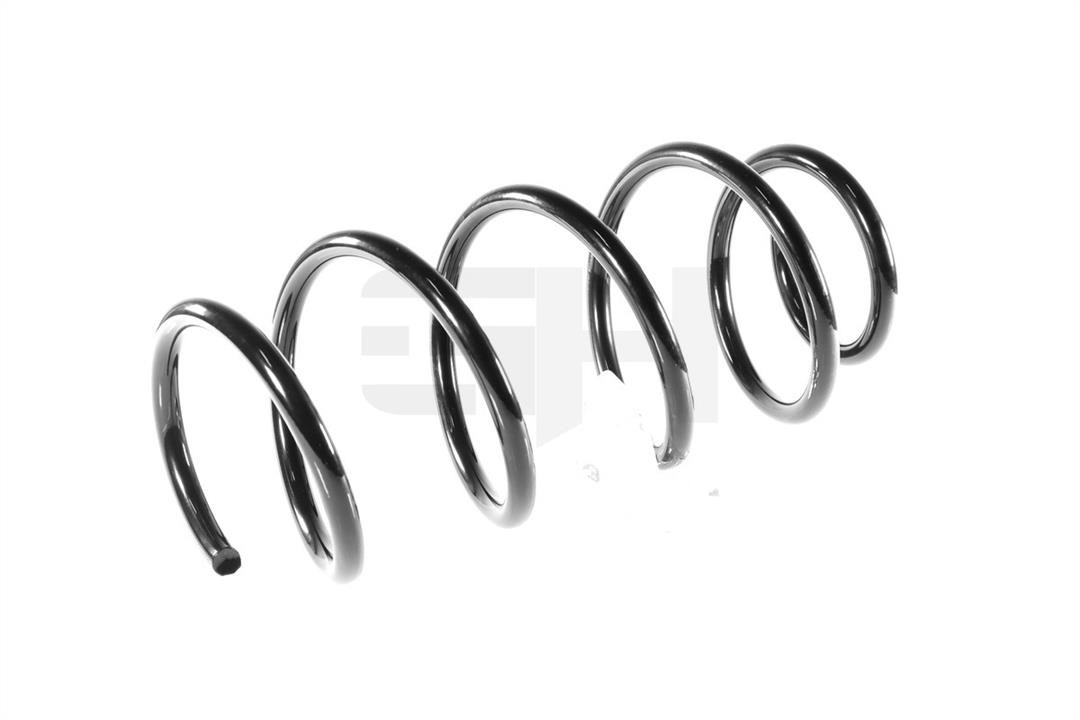 Rear coil spring GH GH-202637