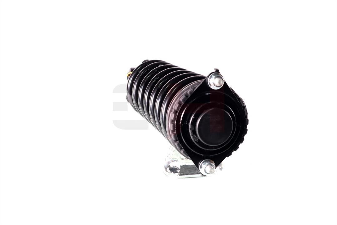 Suspension strut GH GH-334400C01