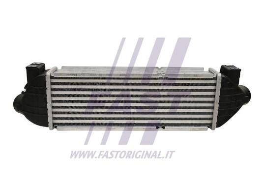 Turbocharger intercooler Ford: FT55590 Fast Intercooler, charger