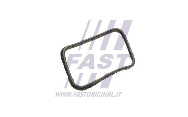 Thermostat housing seal Mini: FT58302 Fast Seal, thermostat