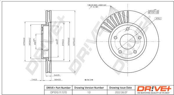 Dr!ve+ DP1010.11.1570 Front brake disc ventilated DP1010111570