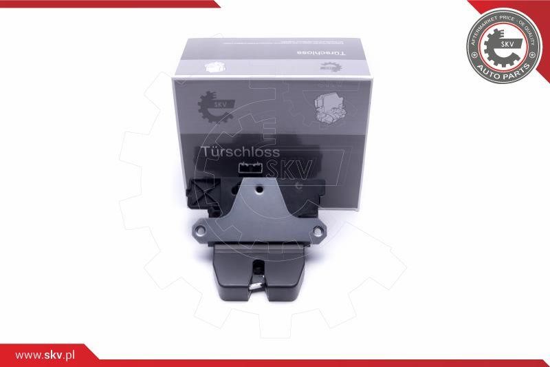 Boot lock Ford: 16SKV354 Esen SKV Tailgate lock