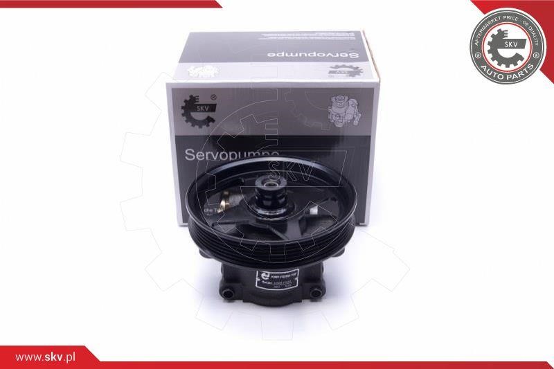 Esen SKV 10SKV303 Hydraulic Pump, steering system 10SKV303 10SKV303 Esen SKV Hydraulic Pump, steering system