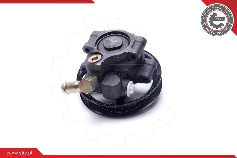 Hydraulic Pump, steering system Esen SKV 10SKV303