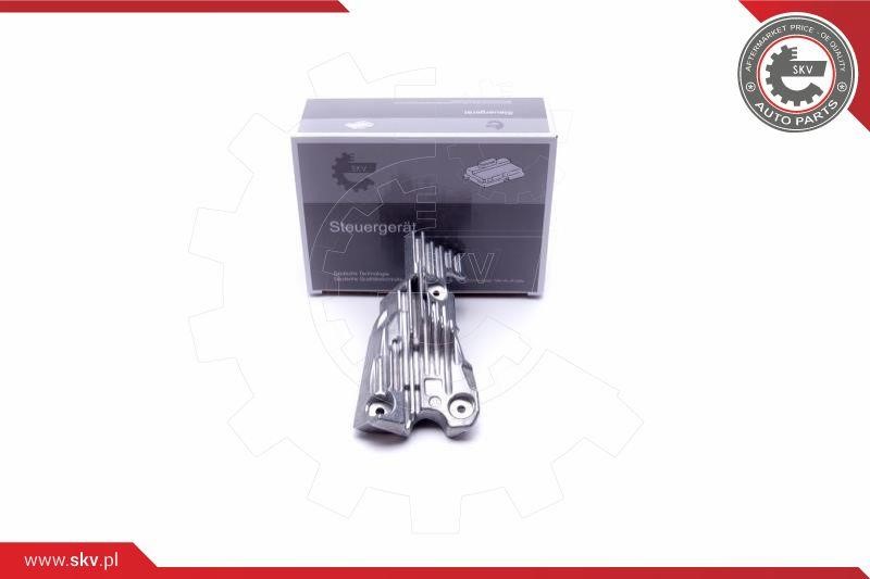 59SKV141 Esen SKV Control Unit, dynamic bending light