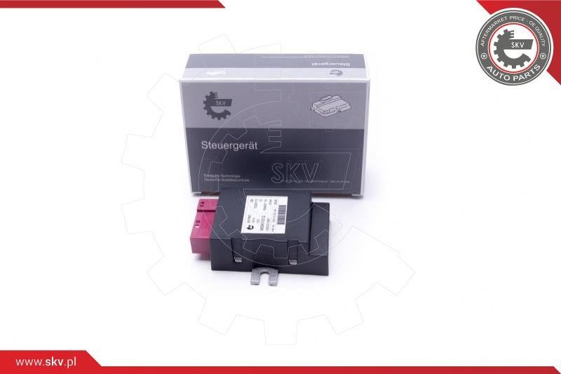 96SKV212 Esen SKV Control Unit, fuel pump