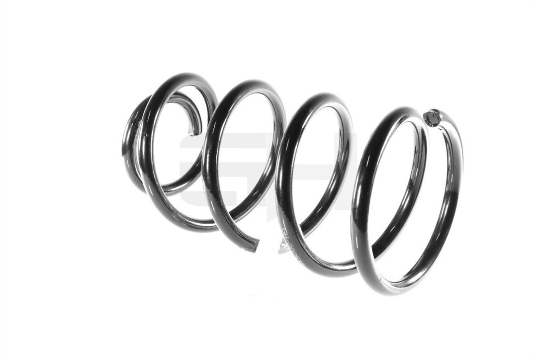 GH202539 GH Rear coil spring