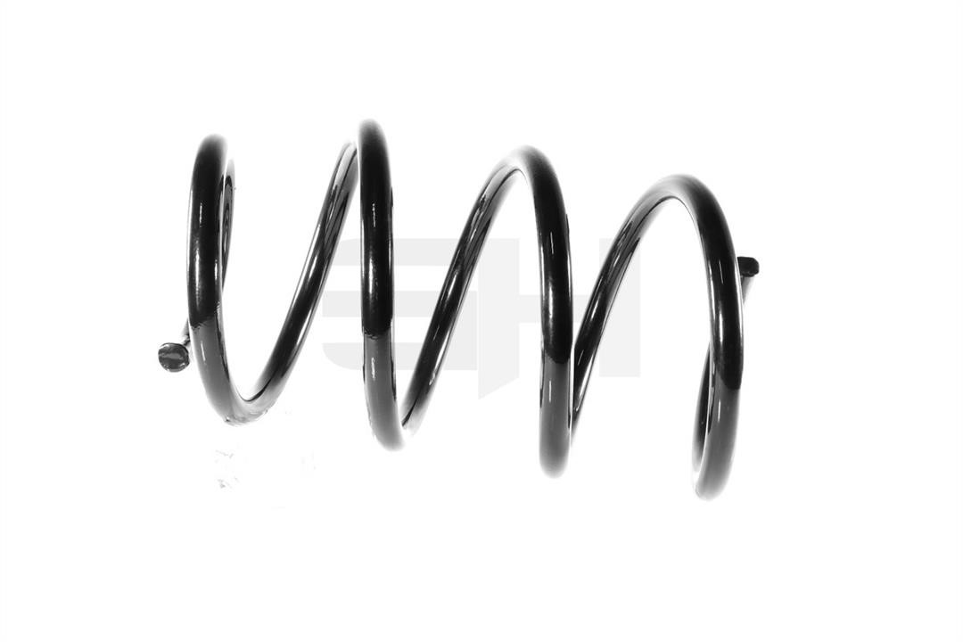 Rear coil spring GH GH-203964