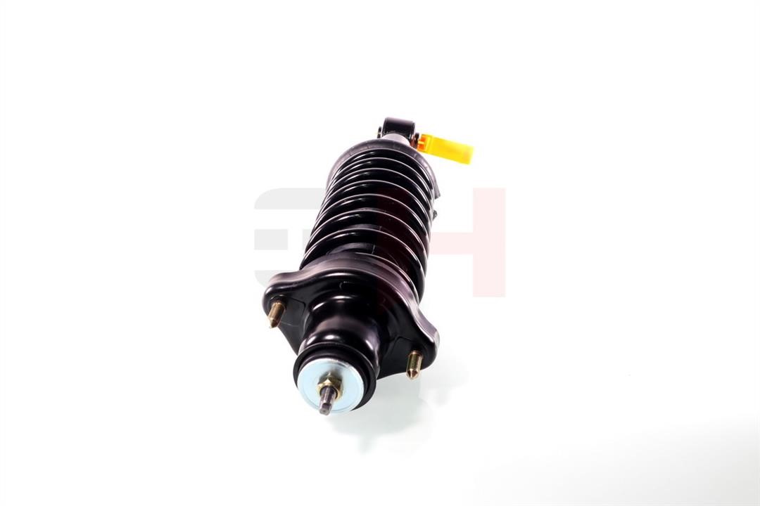 Suspension strut GH GH-333060C01