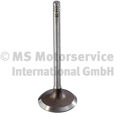 Wilmink Group WG2188577 Intake valve WG2188577