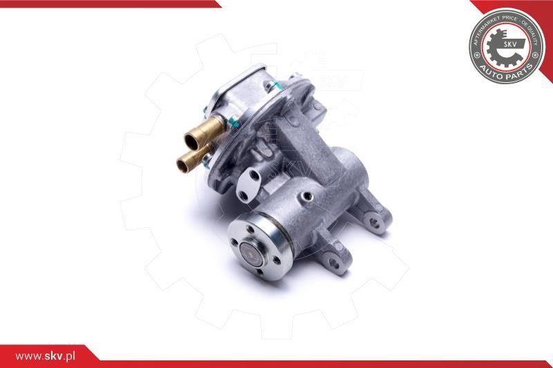 Vacuum Pump Esen SKV 18SKV035