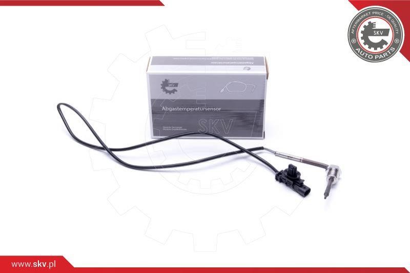 30SKV428 Esen SKV Sensor, exhaust gas temperature