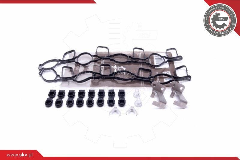 Esen SKV 49SKV517 Repair Kit, intake manifold module 49SKV517 49SKV517 Esen SKV Repair Kit, intake manifold module