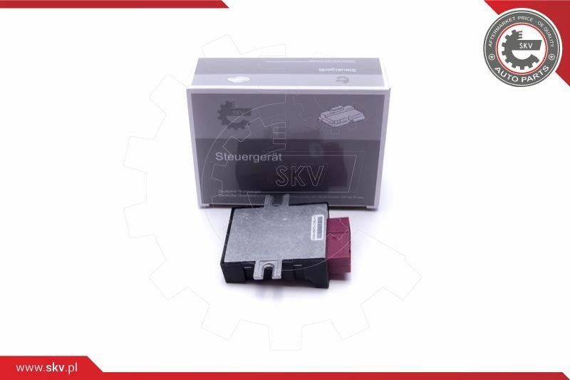 Control units BMW: 96SKV210 Esen SKV Control Unit, fuel pump