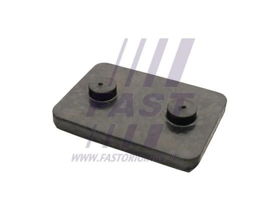 FT13203 Fast Mounting, leaf spring