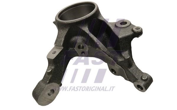 Wheel knuckle Fiat: FT13555 Fast Knuckle swivel