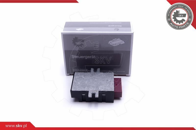Control units BMW: 96SKV209 Esen SKV Control Unit, fuel pump