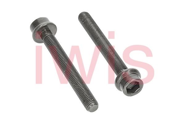 IWIS Motorsysteme 59499 Screw, camshaft gear 59499