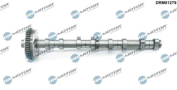 Camshaft Seat Exeo: DRM01279 Dr.Motor Camshaft