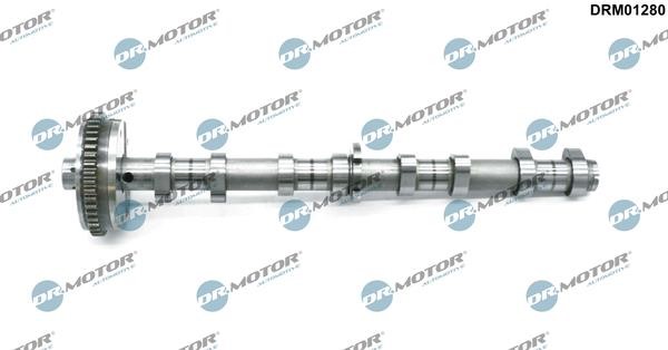 Camshaft Audi TT: DRM01280 Dr.Motor Camshaft