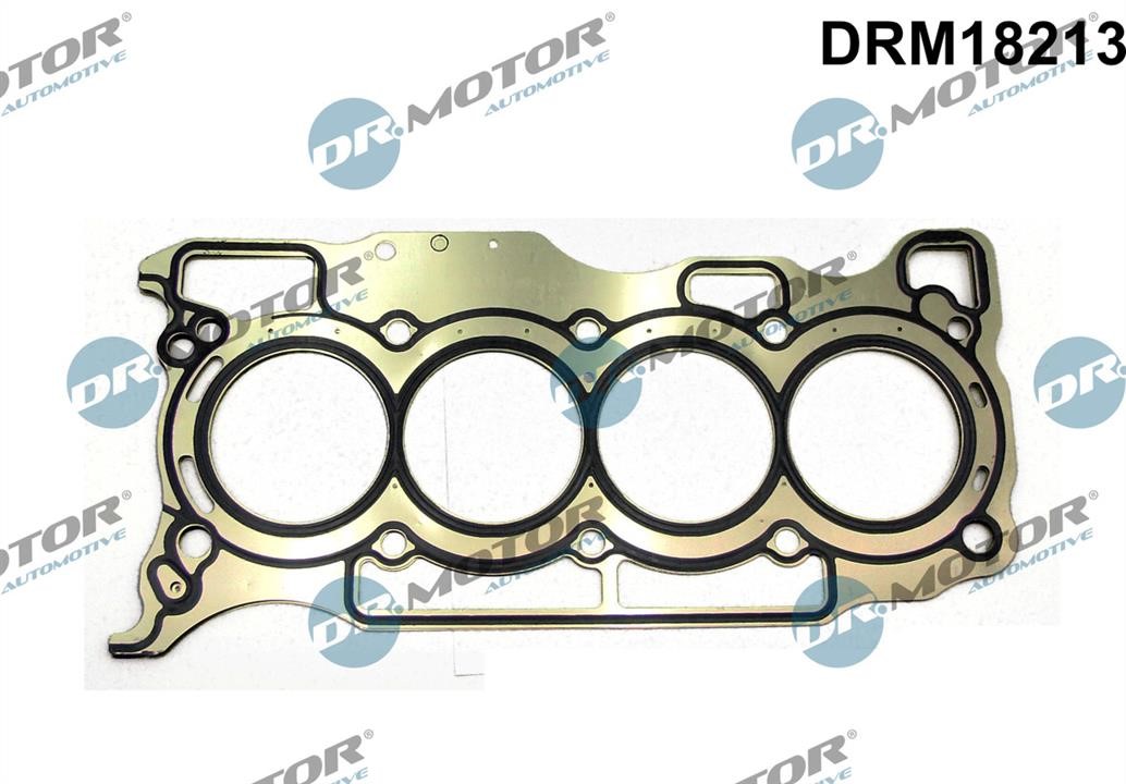 Top gasket Renault Scenic: DRM18213 Dr.Motor Cylinder head gasket