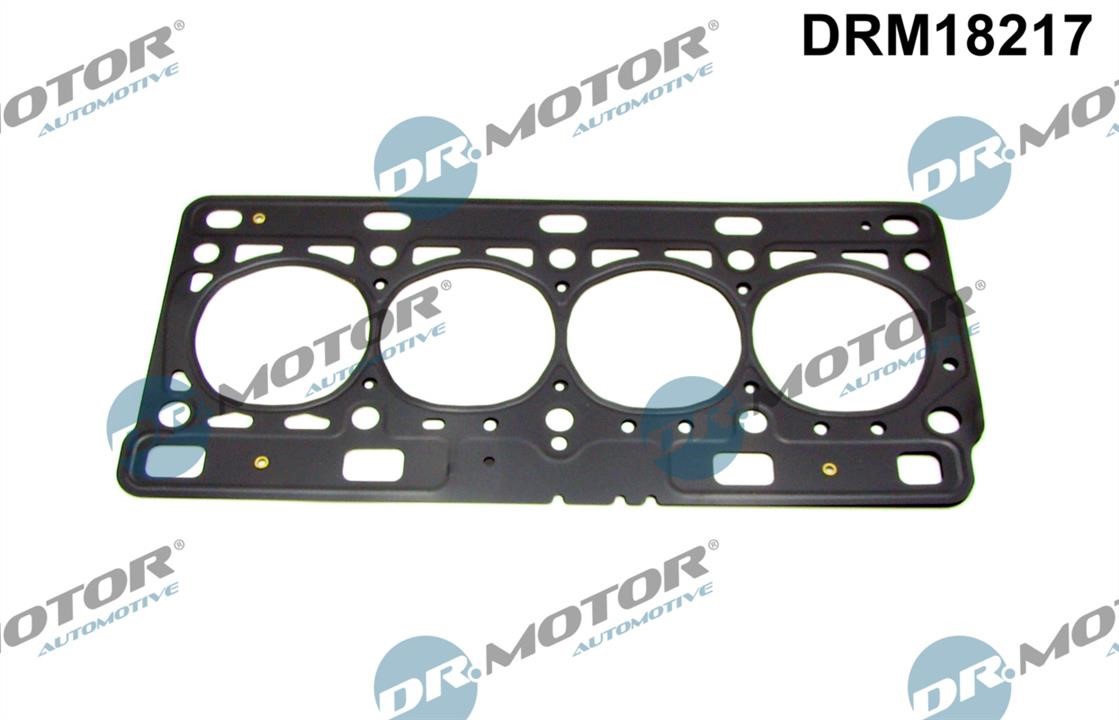 Cylinder head seal Renault Wind: DRM18217 Dr.Motor Cylinder head gasket