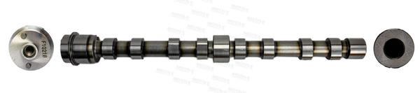 Camshaft Iveco Massif: T4462 Motive Components Camshaft