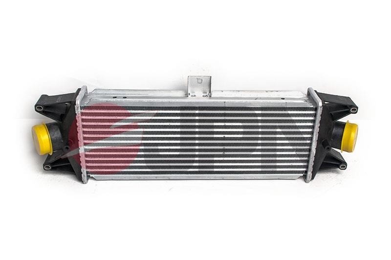 60C9306JPN JPN Charge Air Cooler