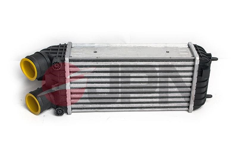 Intercooler Peugeot 208: 60C9346JPN JPN Charge Air Cooler