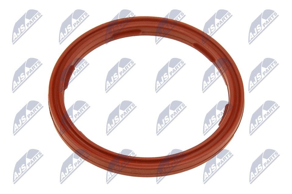 Seal Ring, engine oil level sensor NTY EPO-BM-010