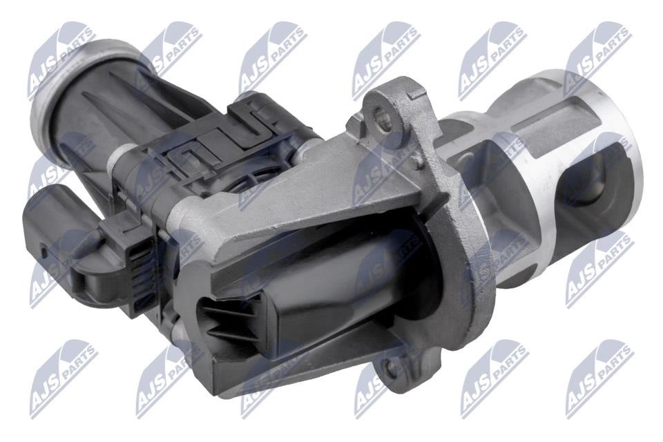 EGR Valve NTY EGR-CH-015