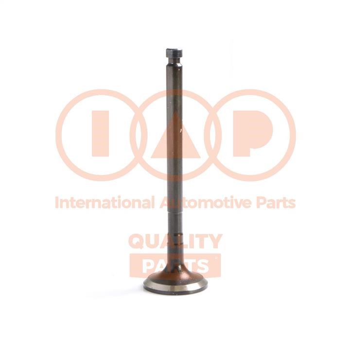 IAP 110-47021 Exhaust valve 11047021