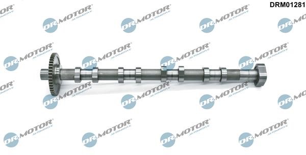 DRM01281 Dr.Motor Camshaft