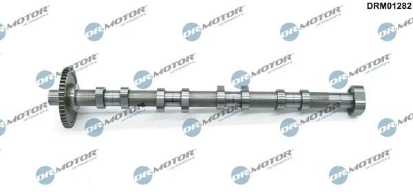 Camshaft Audi: DRM01282 Dr.Motor Camshaft