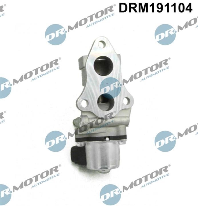 DRM191104 Dr.Motor EGR Valve