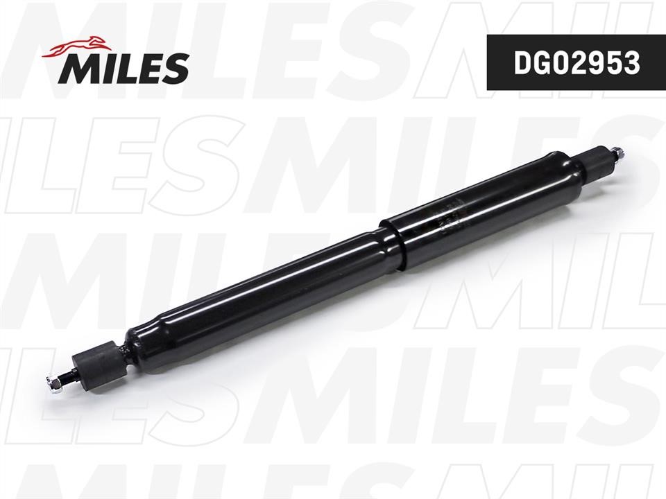 Miles DG02953 Front oil and gas suspension shock absorber DG02953