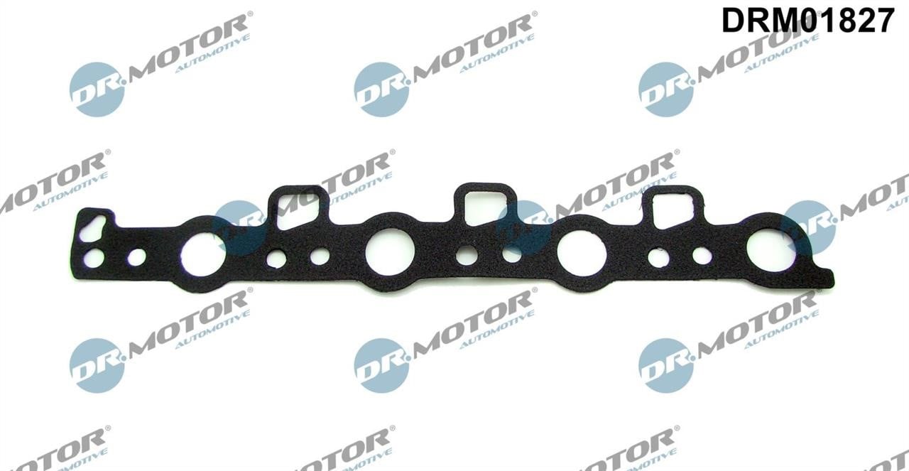Cam seal Citroen Jumpy: DRM01827 Dr.Motor Seal, camshaft sealing cover