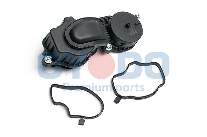 21F9015OYO Oyodo Valve, engine block breather