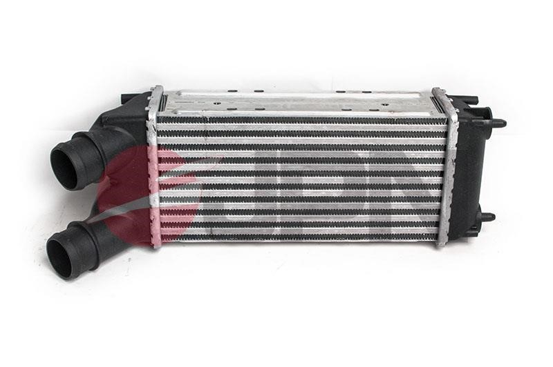 Turbocharger intercooler Citroen Berlingo: 60C9272JPN JPN Intercooler, charger
