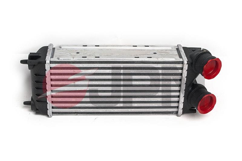 Turbocharger intercooler Citroen DS4: 60C9273JPN JPN Charge Air Cooler