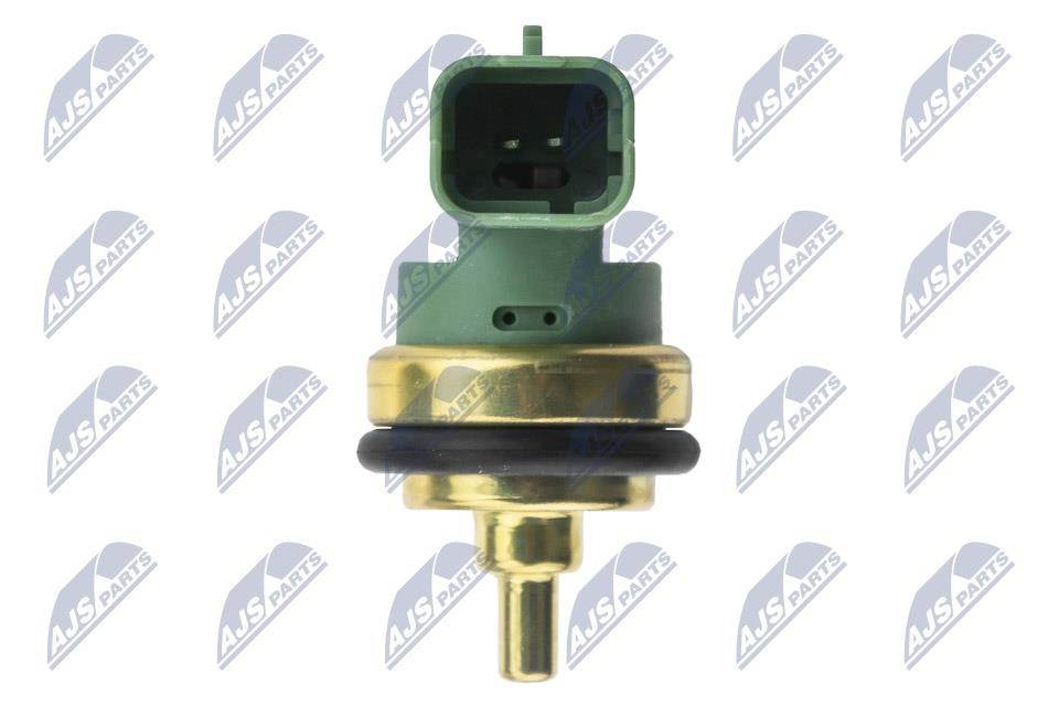 Buy NTY ECT-CT-005 at a low price in United Arab Emirates!