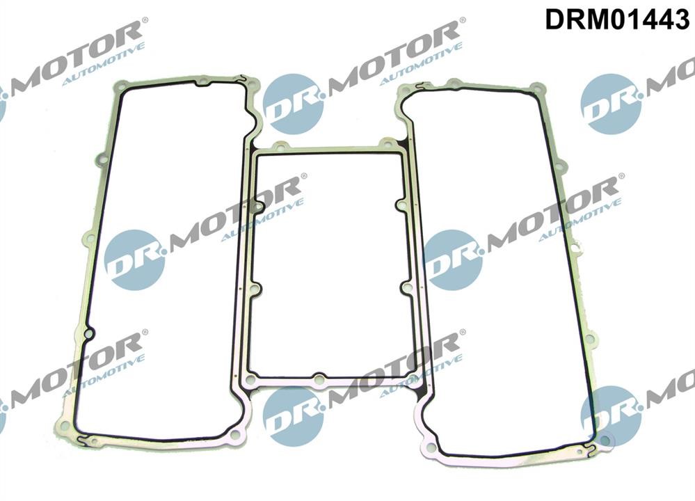 Air inlet manifold gasket Jaguar: DRM01443 Dr.Motor Intake manifold gasket