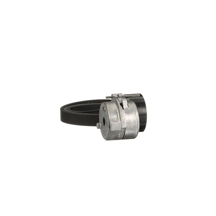 Drive belt kit Gates K036PK1310