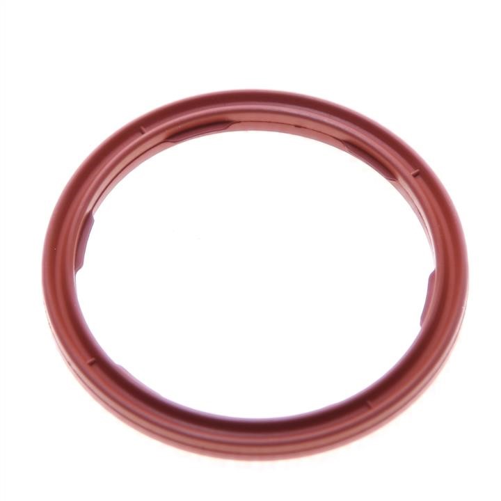 703145600 Victor Reinz O-ring